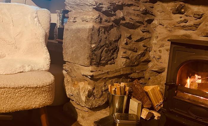 Pen-y-Bryn_Lounge_Fire_Burner